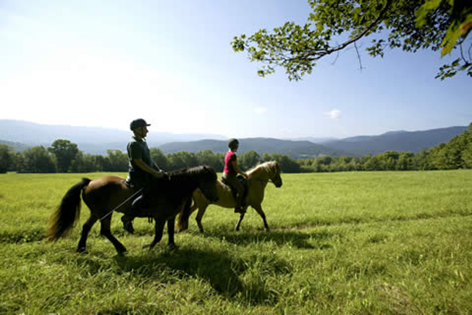 Trail ride on Icelandic horses